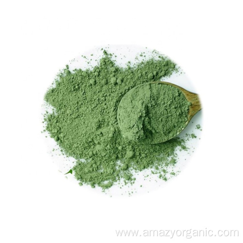 High quality Food grade Vegetable FD Broccoli Powder